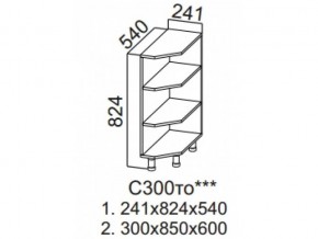 С300то Стол-рабочий 300 (торцевой открытый) в Чёрмозе - chyormoz.магазин96.com | фото