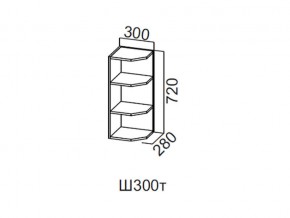 Ш300т/720 Шкаф навесной 300/720 (торцевой) в Чёрмозе - chyormoz.магазин96.com | фото