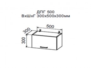 Шкаф верхний ДПГ500 горизонтальный в Чёрмозе - chyormoz.магазин96.com | фото