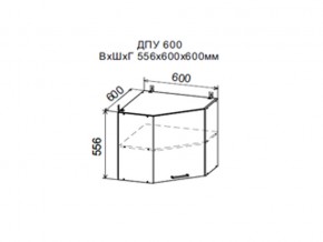 Шкаф верхний ДПУ600 угловой в Чёрмозе - chyormoz.магазин96.com | фото